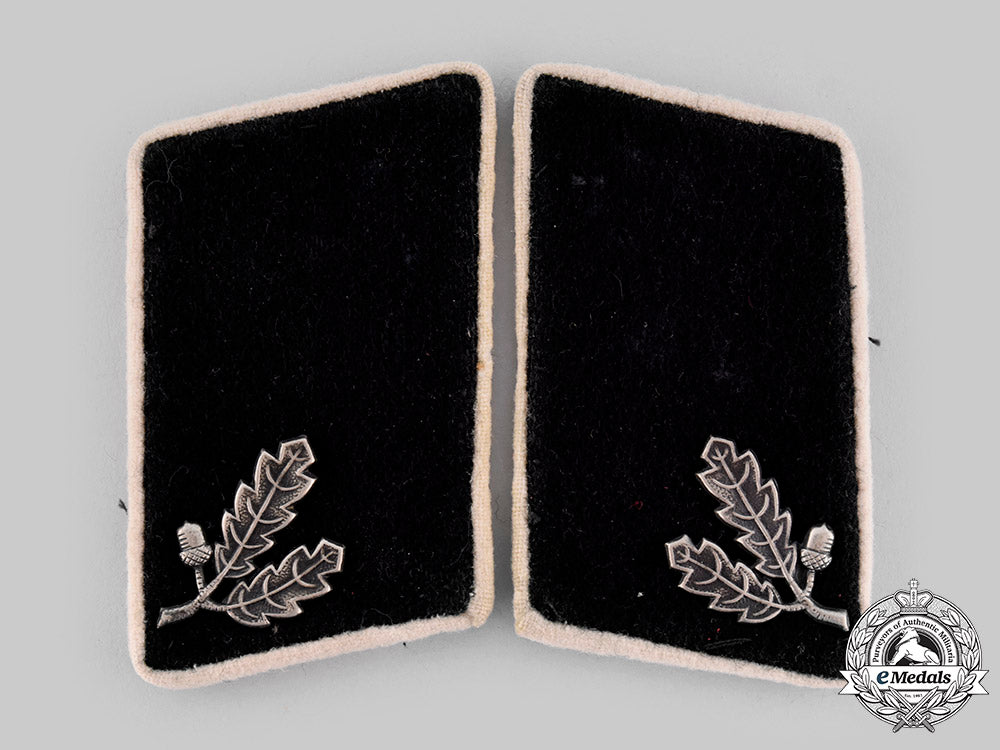 germany,_der_stahlhelm._a_lot_of_der_stahlhelm_collar_tabs_m19_22556