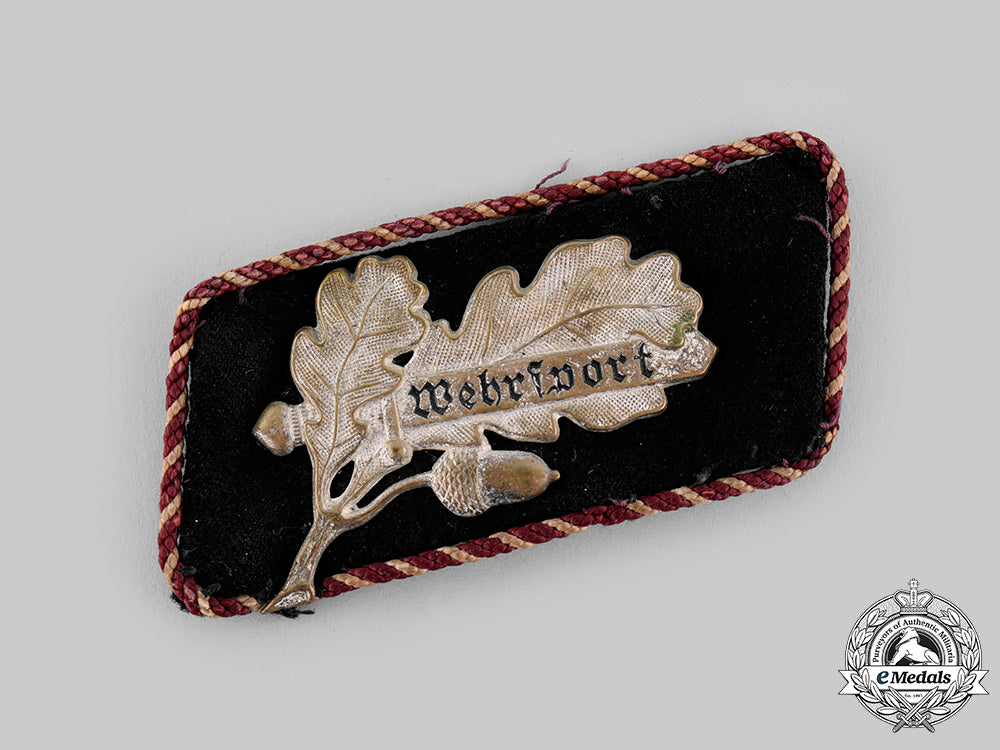 germany,_der_stahlhelm._a_lot_of_der_stahlhelm_collar_tabs_m19_22558