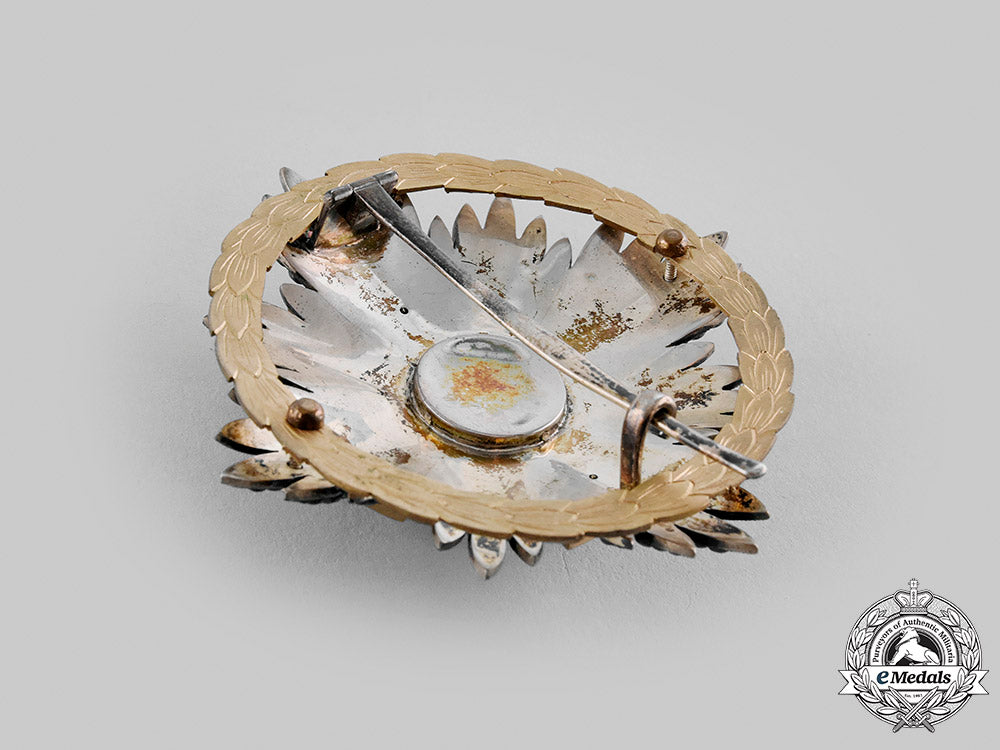 austria,_imperial._an_order_of_leopold,_i_class_star_with_war_decoration(_rothe_copy)_m19_22627