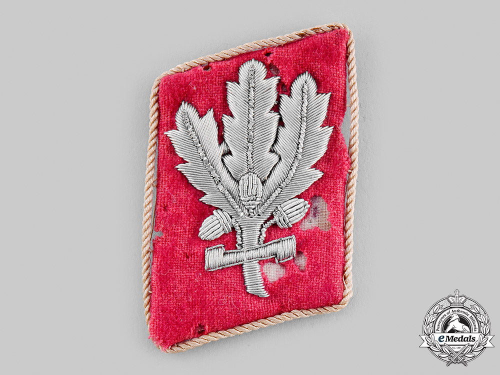 germany,_sa._a_sturmabteilung(_sa)_hauptamt_brigadeführer_collar_tab_m19_22937_1_1_1_1