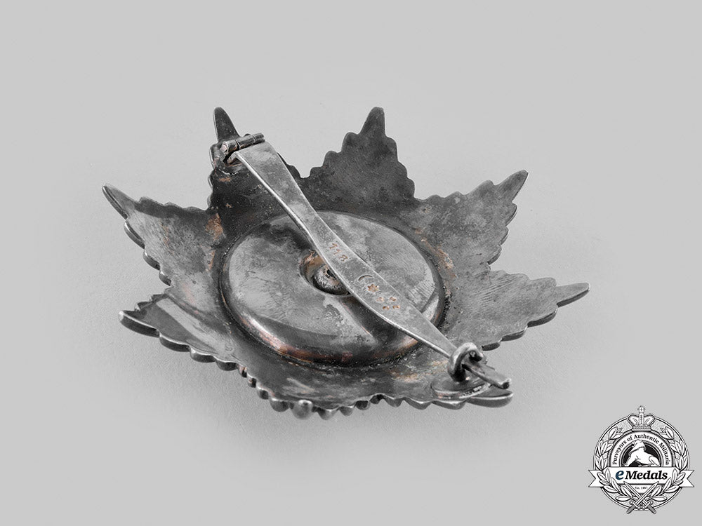 international._an_unknown_breast_star_m19_23963