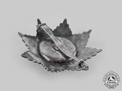 international._an_unknown_breast_star_m19_23963