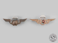 Portugal, Republic. Two Parachutist Badges