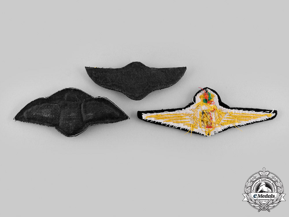 international._a_lot_of_three_air_force_pilot_badges_m19_24113