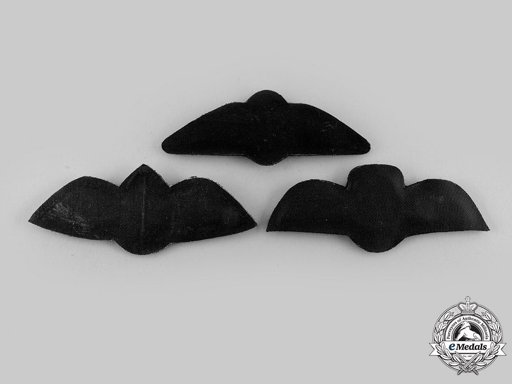 singapore,_south_africa._a_lot_of_three_pilot_badges_m19_24115