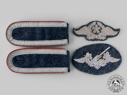 germany,_luftwaffe._a_lot_of_uniform_insignia_m19_24813