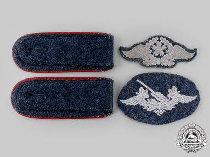 germany,_luftwaffe._a_lot_of_uniform_insignia_m19_24814