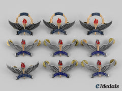 United States. A Lot Of The Nine United States Air Force (Usaf) Instructor Badges