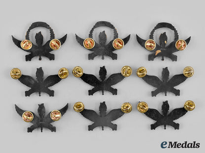 united_states._a_lot_of_the_nine_united_states_air_force(_usaf)_instructor_badges_m19_26670