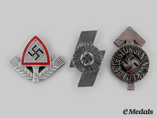 germany,_third_reich._a_lot_of_organization_badges_m19_27333_1