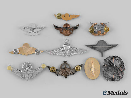 international._a_lot_of_eleven_parachutist_badges_m19_27766