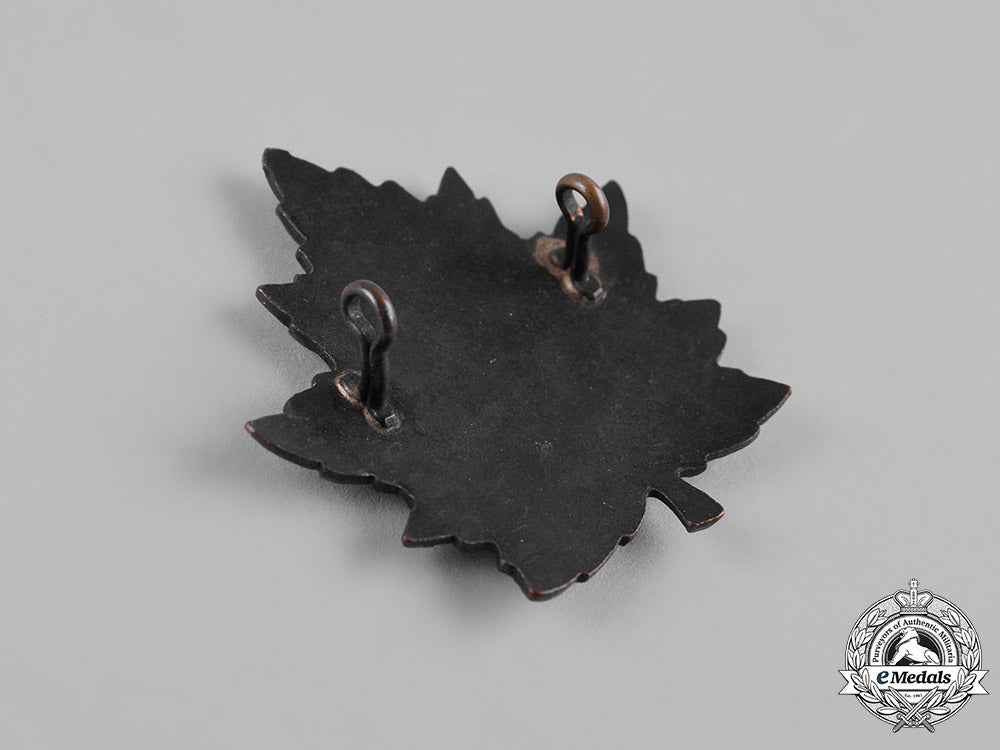 canada._a_ymca_cap_badge_with_spirit_body_mind/_px_design_m19_3736_1