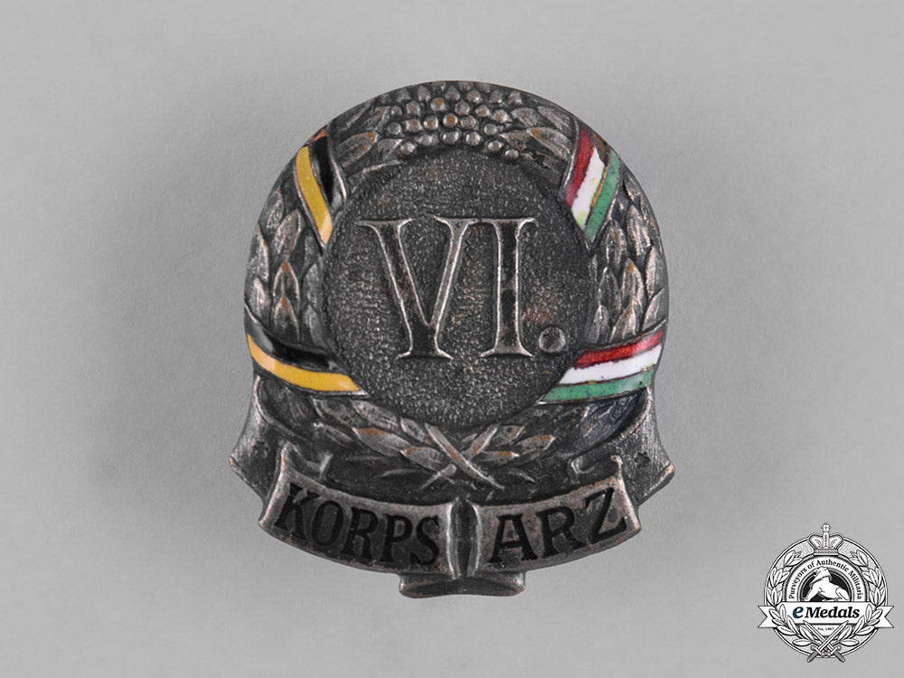 austria,_imperial._an_austro-_hungarian_regimental_badge_m19_6519