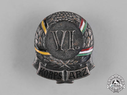 austria,_imperial._an_austro-_hungarian_regimental_badge_m19_6519