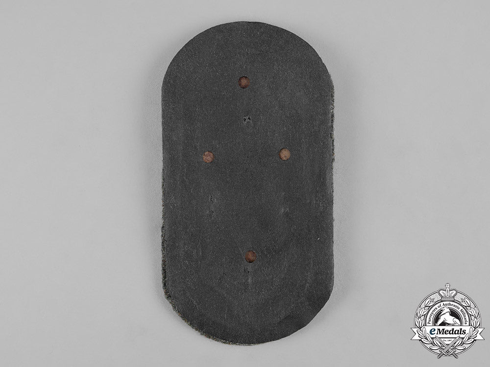 germany,_heer._an_army-_issued_demjansk_shield_m19_7006