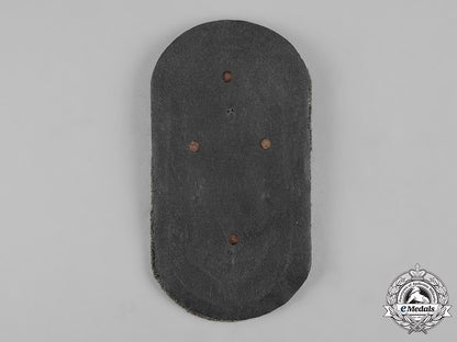 germany,_heer._an_army-_issued_demjansk_shield_m19_7006