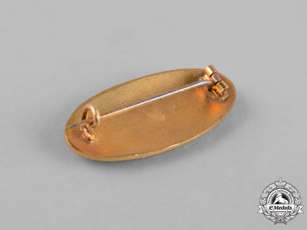 germany,_imperial._a_first_war_zeppelin_propaganda_badge_m19_7730