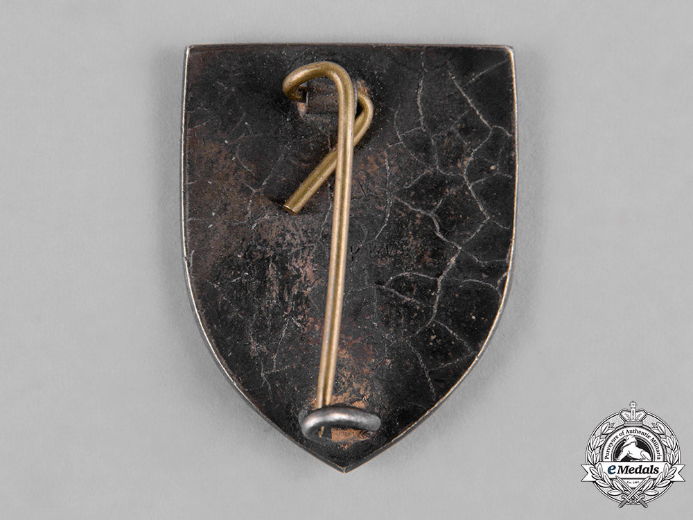 united_states._a_china-_burma-_india(_cbi)_theater_presentation_box_with_lapel_badge_m19_8382