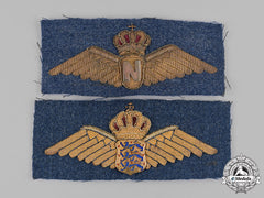 Denmark, Kingdom. Two Royal Danish Air Force Badges