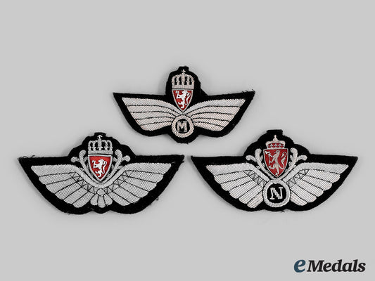 norway,_kingdom._three_royal_norwegian_air_force(_rnoaf)_badges_m20_00868