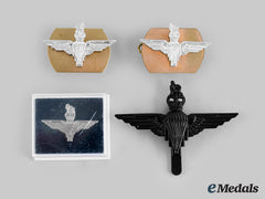 United Kingdom. A Queen's Crown 1St Battalion Parachute Regiment Insignia Set And Lapel Badge
