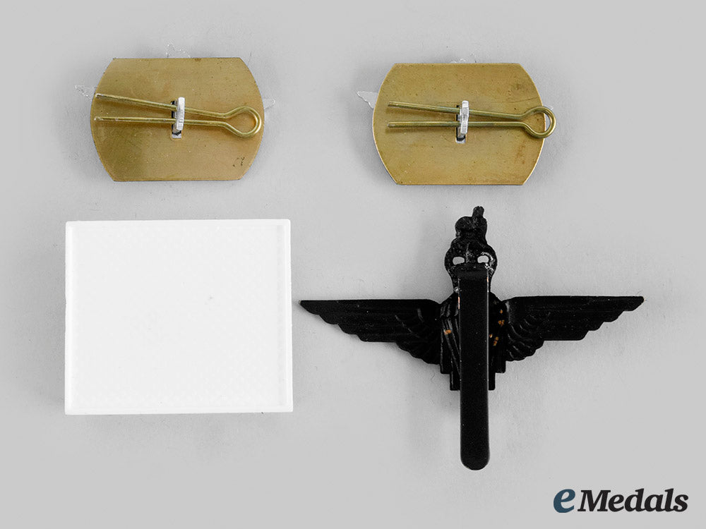 united_kingdom._a_queen's_crown1_st_battalion_parachute_regiment_insignia_set_and_lapel_badge_m20_00875_1