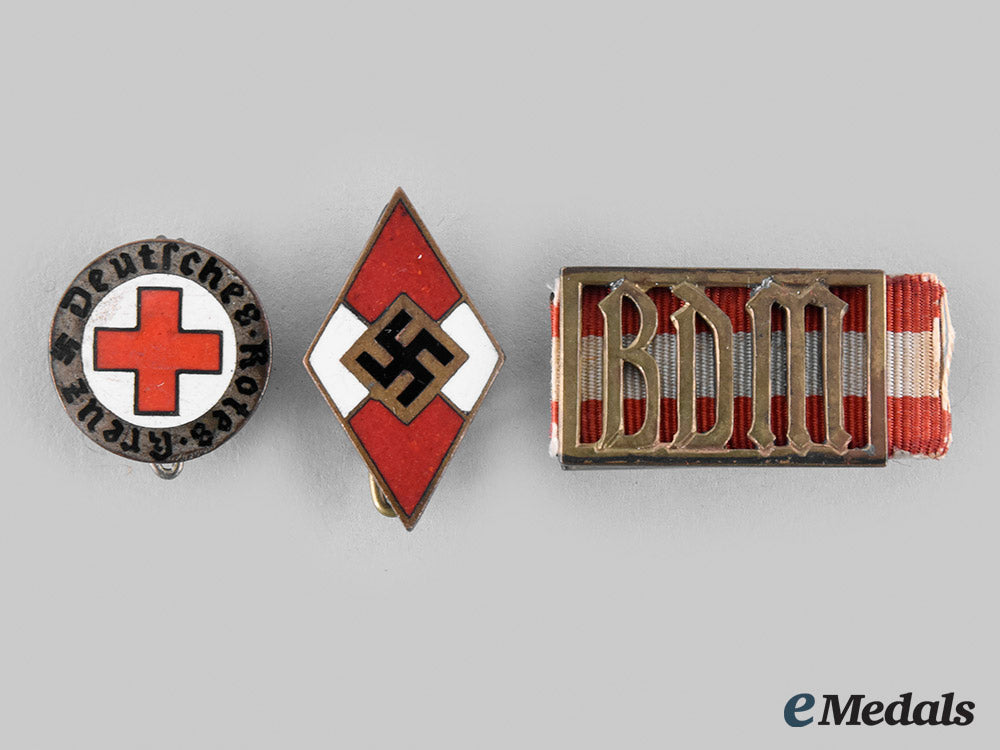 germany,_bdm._a_lot_of_documents_and_insignia_to_gertraud_zinßner_m20_01055