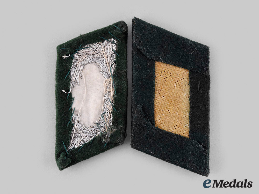 germany,_third_reich._a_pair_of_customs_service_collar_tabs_m20_01191_2_1