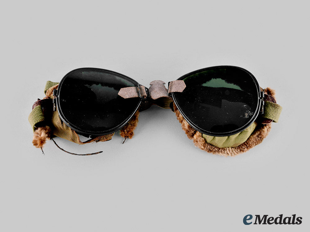 united_states._a_pair_of_united_states_army10_th_mountain_division_ski_goggles_with_case,_c.1941_m20_01377_2