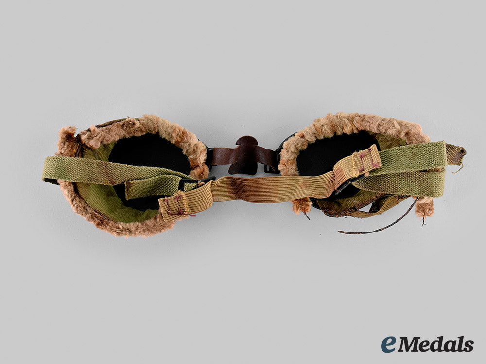 united_states._a_pair_of_united_states_army10_th_mountain_division_ski_goggles_with_case,_c.1941_m20_01378_2