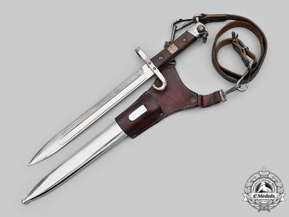 czechoslovakia,_first_republic._a_czechoslovakian_em/_nco’s_m95_bayonet,_byœwg_m20_1254_mnc3210