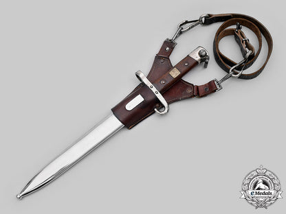 czechoslovakia,_first_republic._a_czechoslovakian_em/_nco’s_m95_bayonet,_byœwg_m20_1255_mnc3212
