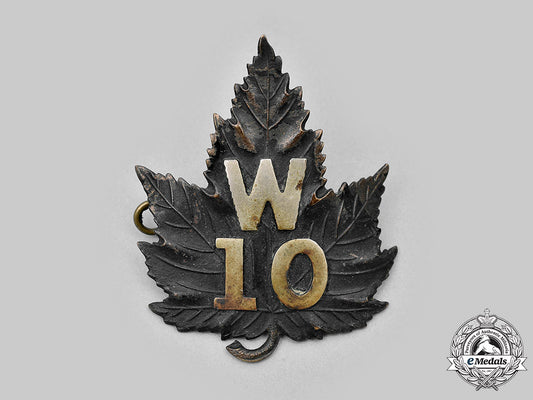 canada._a_rare_waterloo_police_badge_c.1910_m20_1969_mnc6682_1