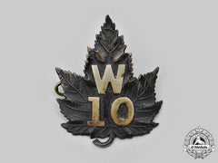 Canada. A Rare Waterloo Police Badge C.1910