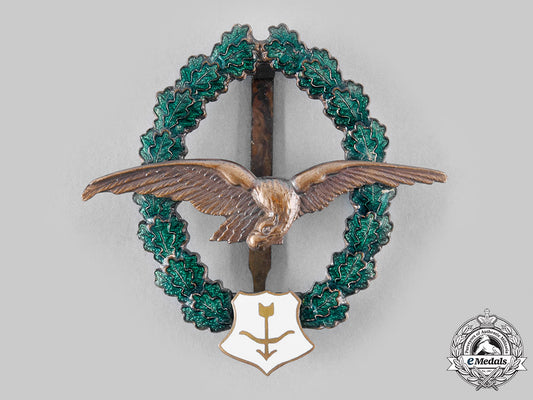 austria,_second_republic._an_air_gunner_veteran’s_commemorative_badge,_by_f._peltz_m20_241_emd5749_1_1_1