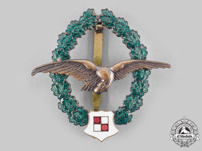 austria,_second_republic._an_observer_pilot_veteran’s_commemorative_badge,_by_f._peltz_m20_249_emd5785_1_1_1_1