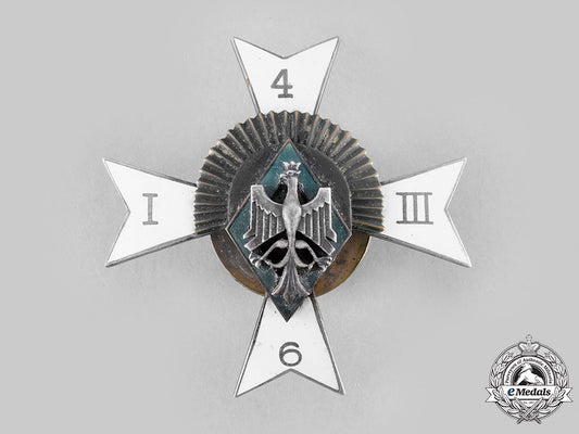 poland,_republic._a6_th_mounted_rifle_regiment_of_herman_zolkiewshi_badge_m20_273_emd5968_1