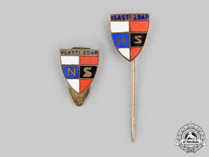germany,_protectorate_of_bohemia_and_morvaia._a_pair_of_national_partnership_membership_pins_m20_631_mnc0236_1_1