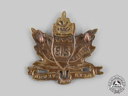 canada,_cef._a213_th_infantry_battalion"_toronto_americans"_cap_badge,_type_i_with"_acta_non_verba"_m20_736_emd4605_1