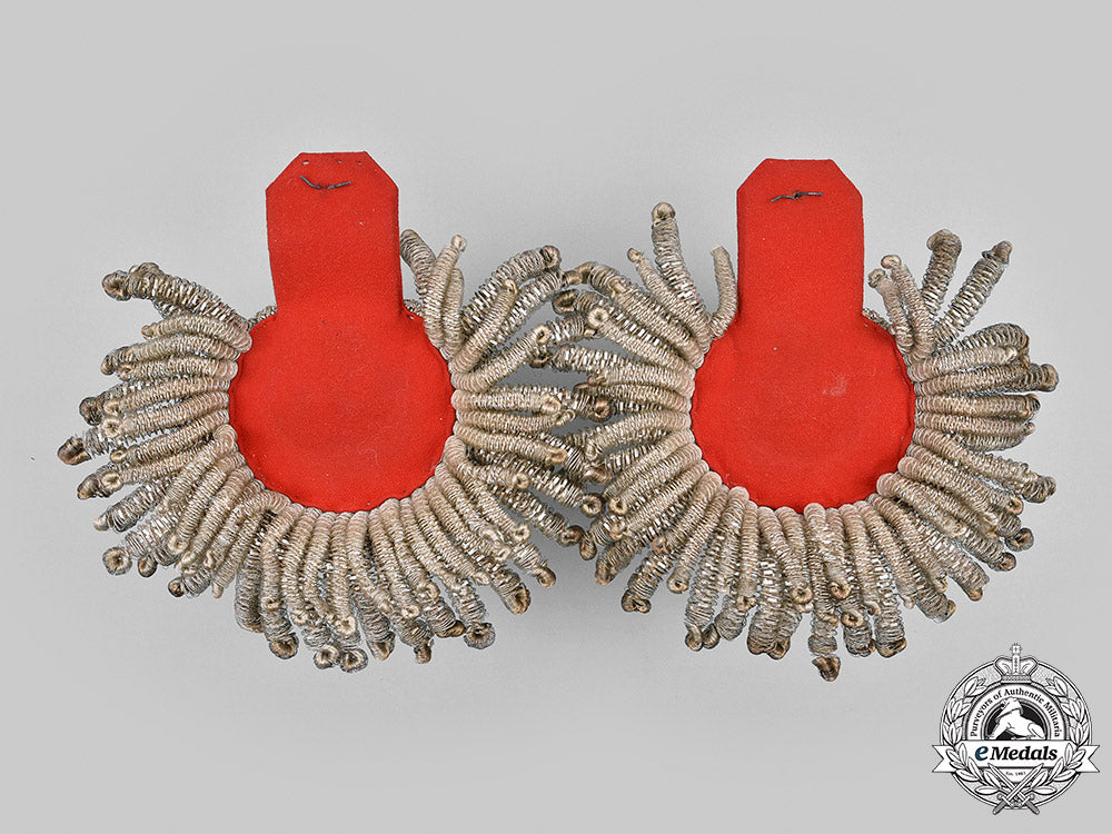 russia,_imperial._a_set_of_imperial_russian_army_guards_regiment_retired_lieutenant_general_epaulettes,_with_case,_by_p.a._fokin_m20_766_mnc9239_1