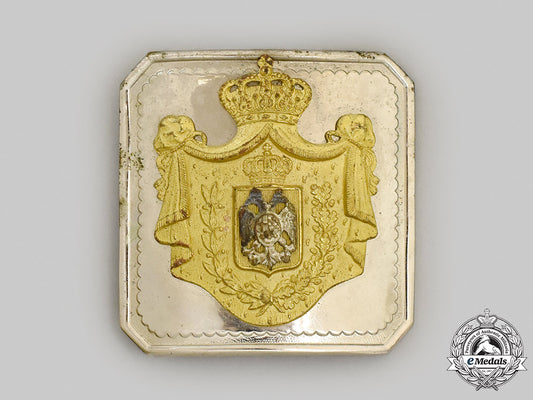 yugoslavia,_kingdom._an_army_officer's_belt_buckle_m21_703_1_1_1