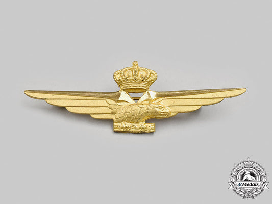 italy,_fascist_state._a_second_war_royal_italian_air_force_pilot_badge,_c.1941_m21_750_1_1_1