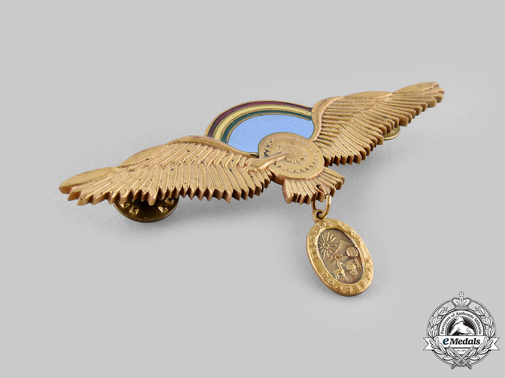 bolivia,_plurinational_state._an_air_force_command_pilot_badge_m21__emd2171_1