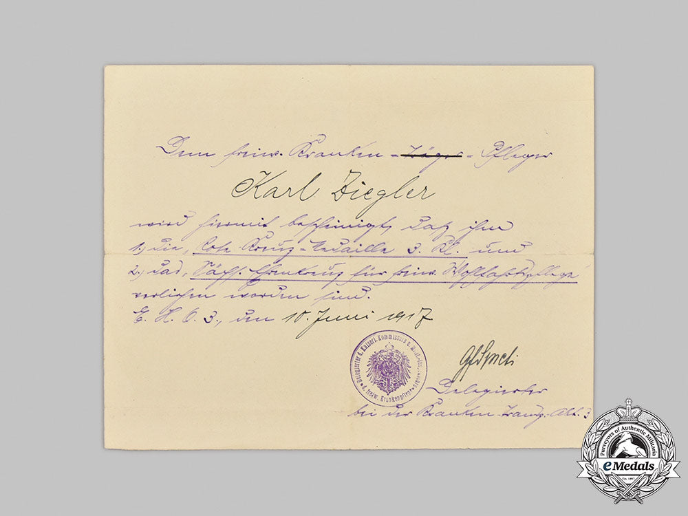germany,_imperial._two_documents_to_first_war_volunteer_nurse_karl_ziegler_m21__mnc1011_1