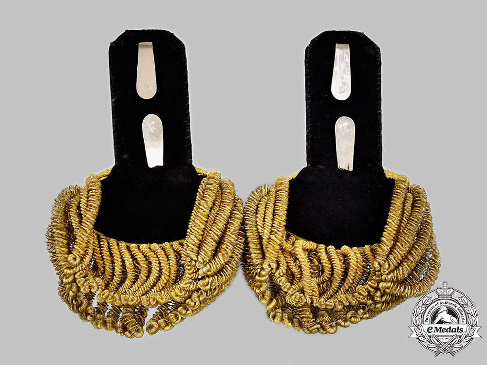 argentina,_republic._a_navy_admiral's(_almirante)_epaulettes_pair,_c.1900_m21__mnc2203_1