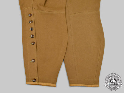 germany,_nsdap._a_rare&_complete_nsdap_party_secretary_uniform_by_hugo_boss_m21_mnc1715_0855_1