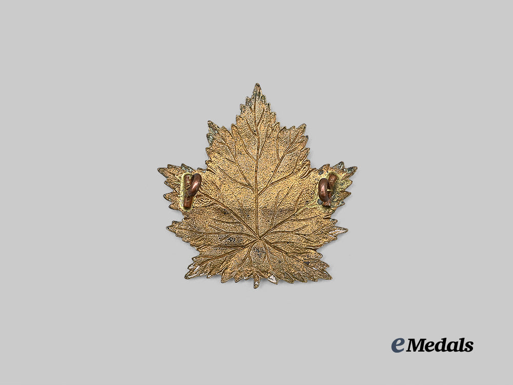 canada,_c_e_f._a4th_battalion‘_central_ontario’_cap_badge_e_medals__c7536_3