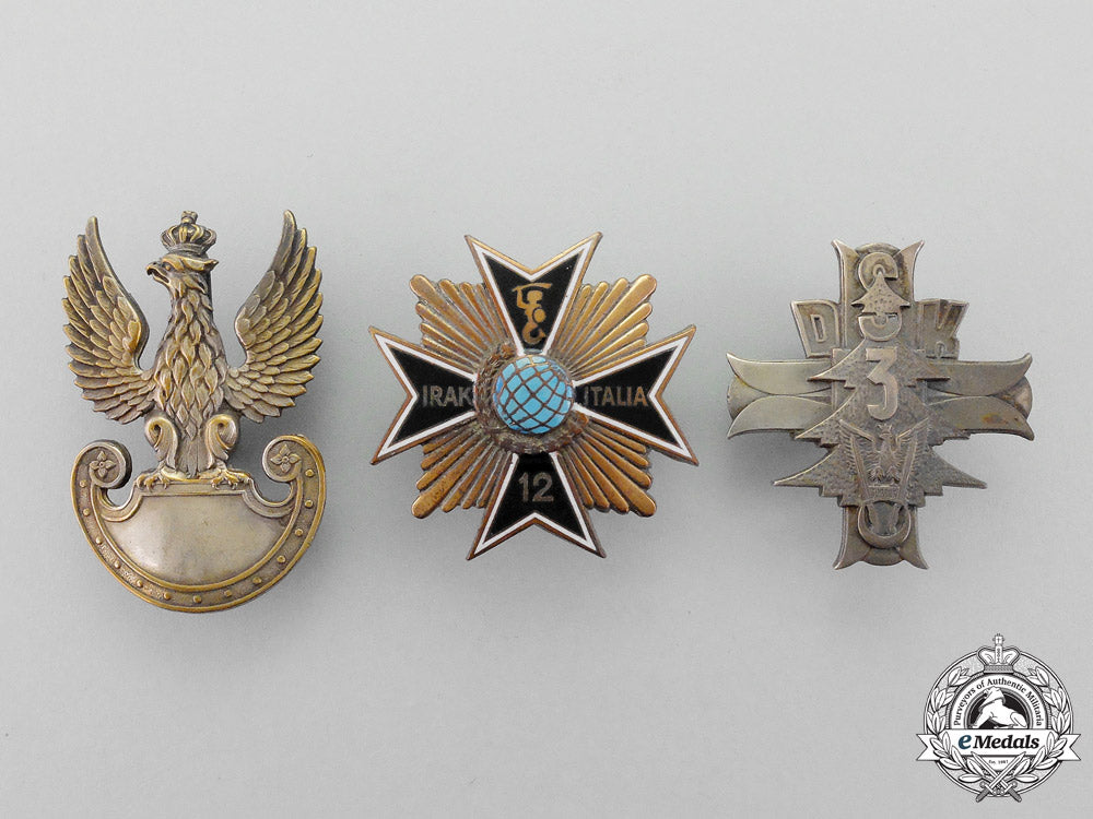 a_polish_monte_casino_group_to_the3_rd_carpathian_rifle_division,2_nd_polish_corps,_british8_th_army_m_379_1