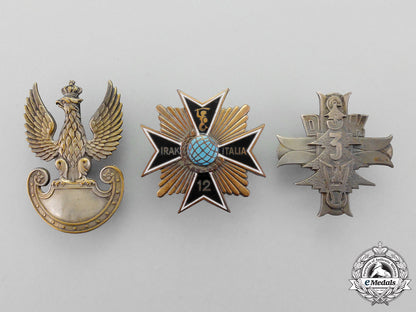 a_polish_monte_casino_group_to_the3_rd_carpathian_rifle_division,2_nd_polish_corps,_british8_th_army_m_379_1