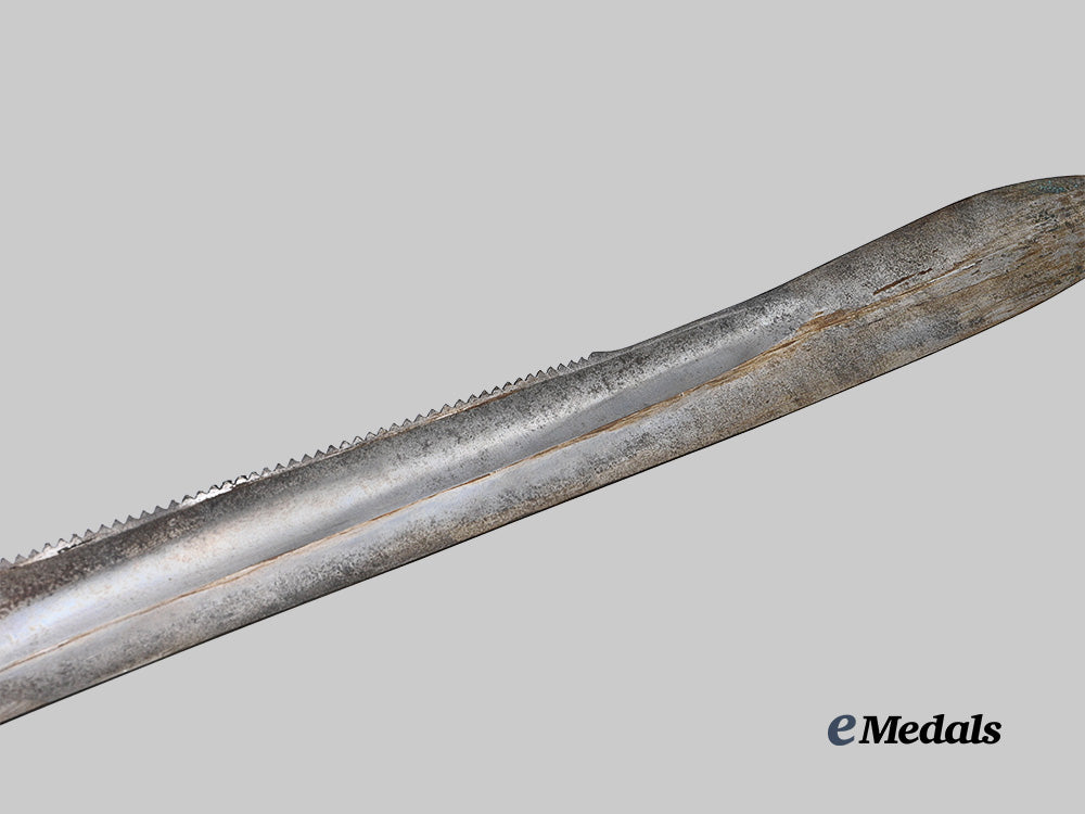 france,_july_monarchy._a_model1831“_glaive”_sawback_short_artillery_sword_e_medals__e_u24680_10